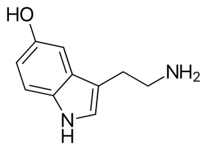 Chemiczny schemat szkieletowy serotoniny