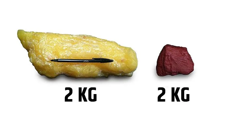 Porównanie objętości tkanki tłuszczowej i mięśniowej
